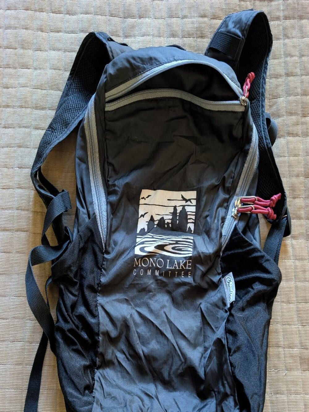 ChicoBag Mono Lake Packable Backpack